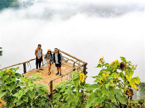 calamba farm sea of clouds|CALAMBA FARM SEA OF CLOUDS : OVERNIGHT CAMPING.